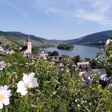 Rheingau Und Weltkulturerbe Mittelrheintal Erleben - Ferienappartement In Winkel Oestrich-Winkel Eksteriør billede