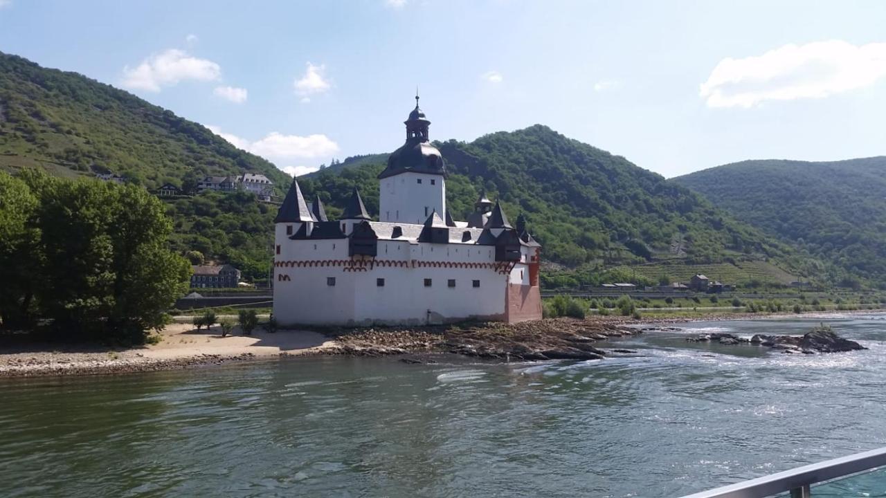 Rheingau Und Weltkulturerbe Mittelrheintal Erleben - Ferienappartement In Winkel Oestrich-Winkel Eksteriør billede