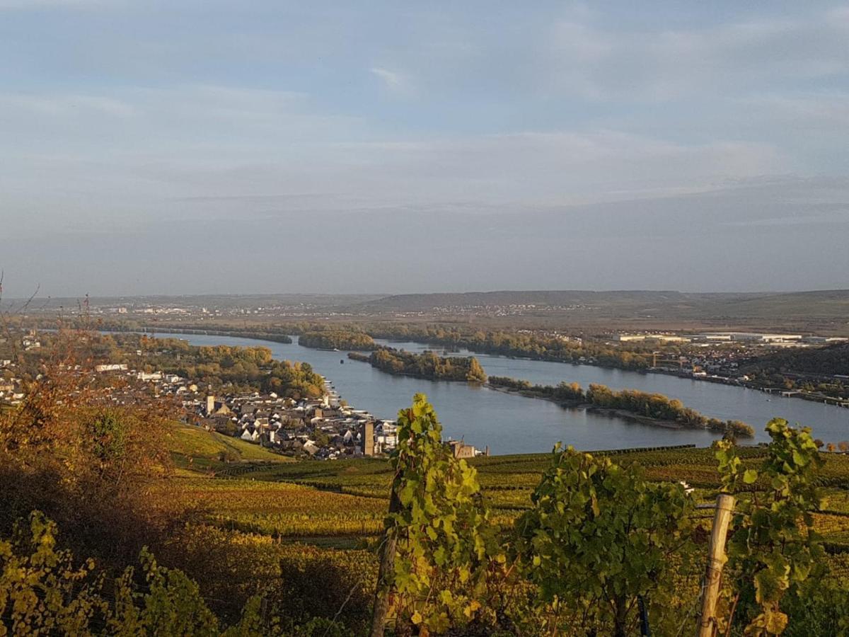 Rheingau Und Weltkulturerbe Mittelrheintal Erleben - Ferienappartement In Winkel Oestrich-Winkel Eksteriør billede