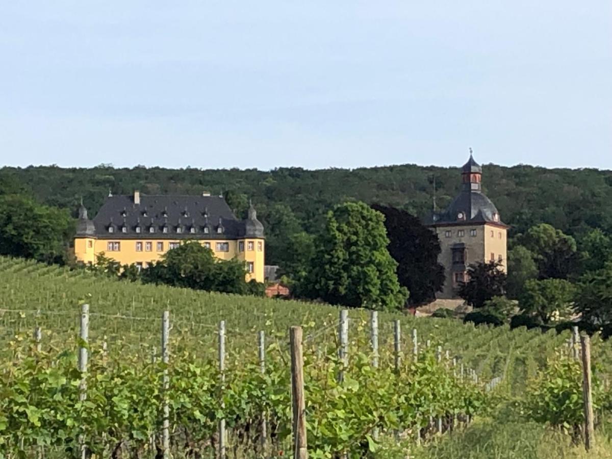 Rheingau Und Weltkulturerbe Mittelrheintal Erleben - Ferienappartement In Winkel Oestrich-Winkel Eksteriør billede