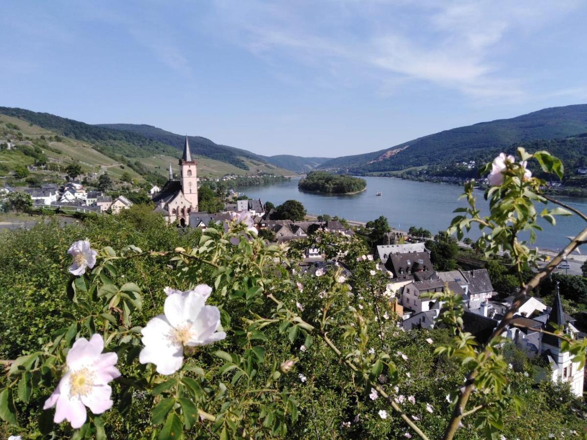 Rheingau Und Weltkulturerbe Mittelrheintal Erleben - Ferienappartement In Winkel Oestrich-Winkel Eksteriør billede